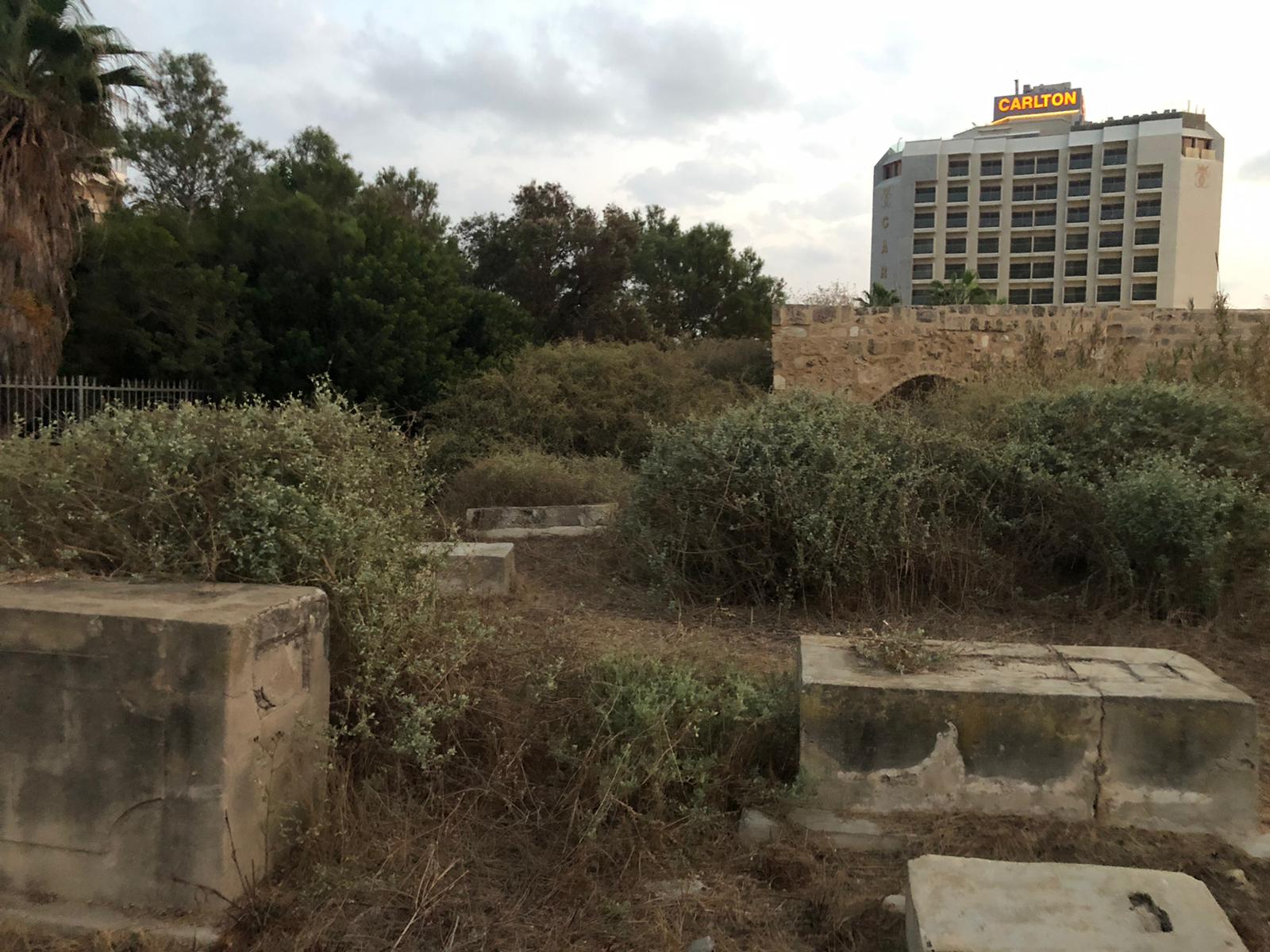 WhatsApp Image 2020-12-03 at 5.57.07 AM.jpeg.jpeg